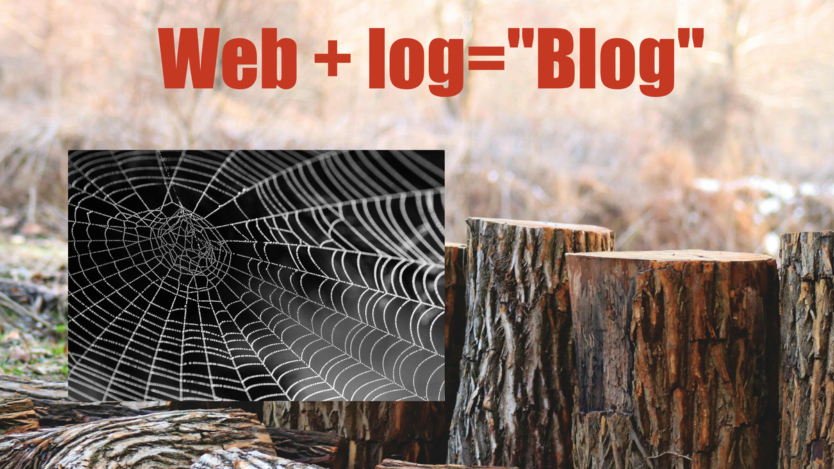 A spider's web superimposed on a set of logs, with the text "Web + log = 'blog'."